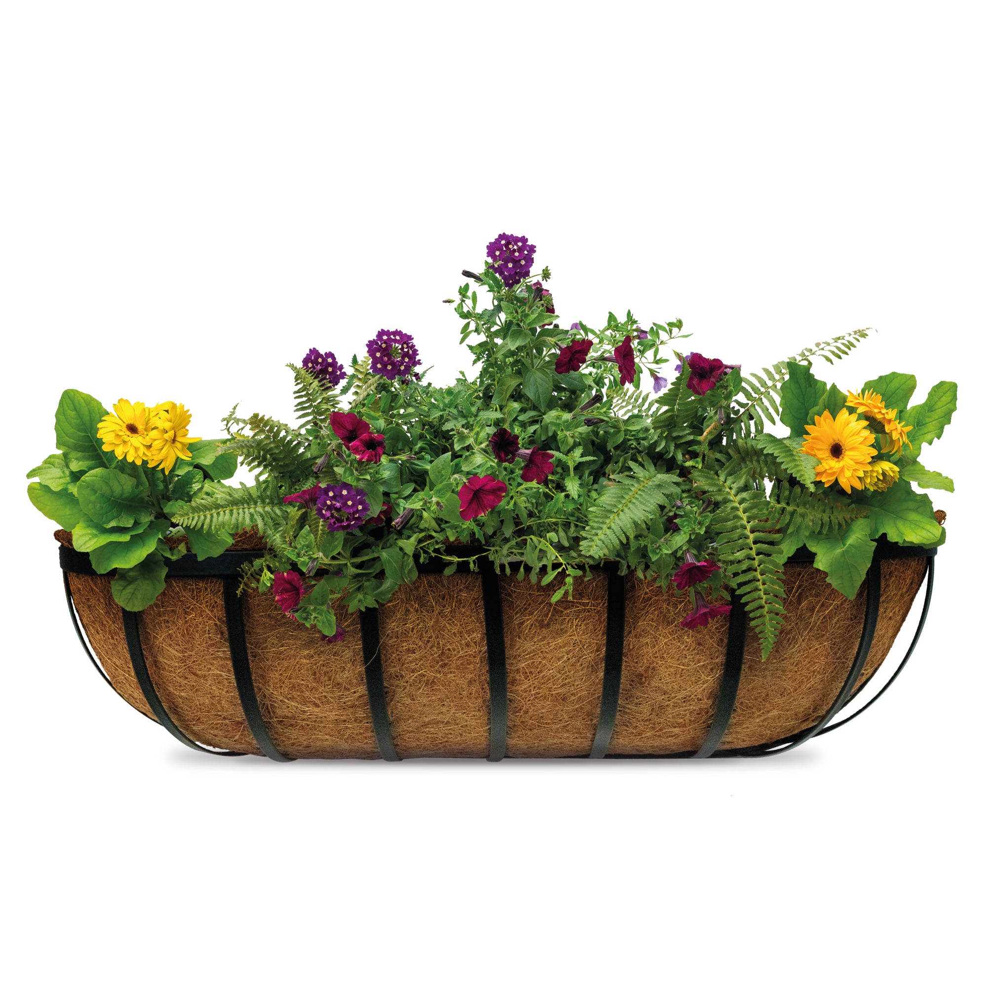 Garden Wall Planter with Coconut Husk Liner 62cm (24in)